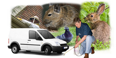 Biggin Hill local van